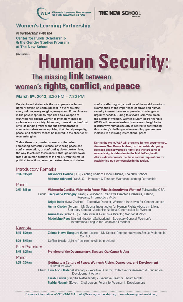 2013 Human Security Film and Panel