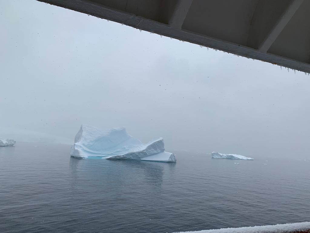 Image of Antarctica from Musimbi 