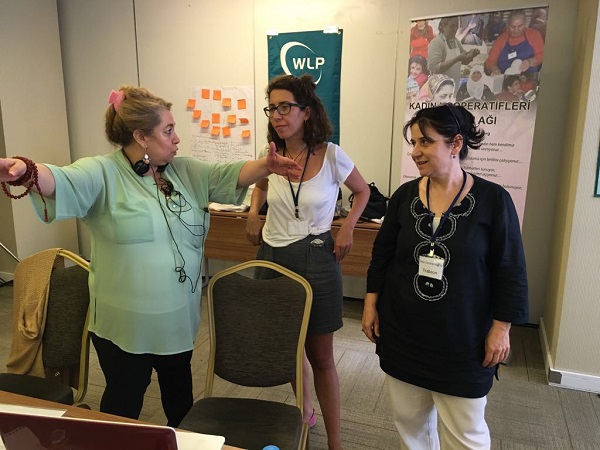 Training of trainers on human rights and democracy building in Turkey. 