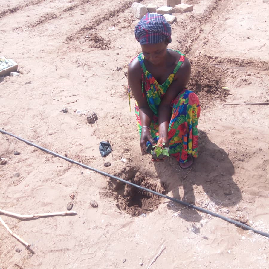 Woman-Leads-Climate-Initiative 
