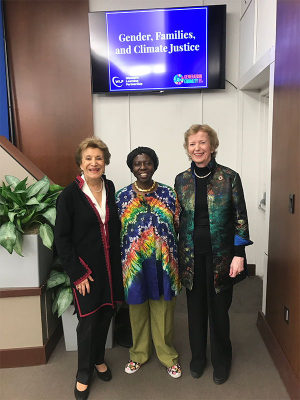 Afkhami-Kanyoro-Robinson Gender Families and Climate Justice 2019
