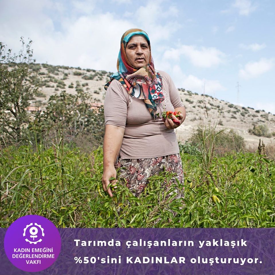 KEDV-Agriculture-Organizing 