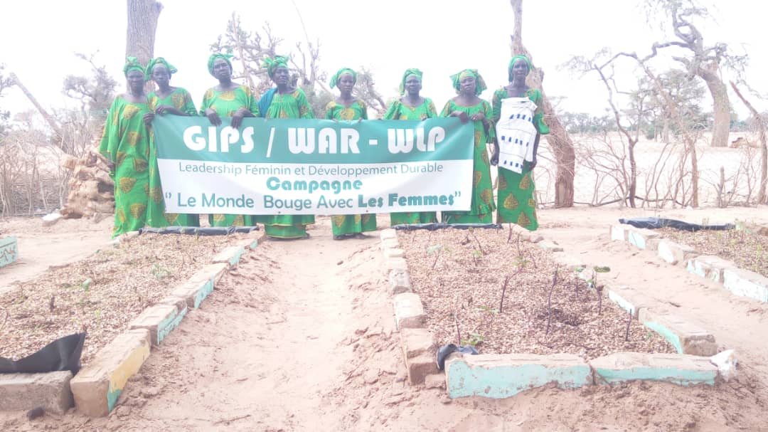GIPS War Women Advocate for Climate Justice