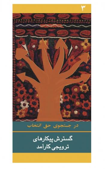 Developing Effective Advocacy Campaigns Persian Cover