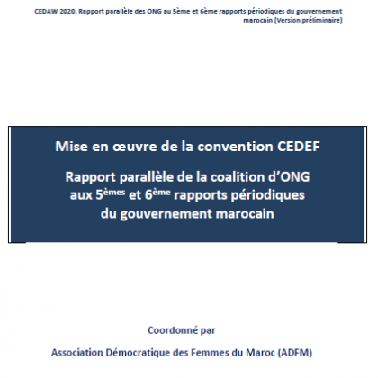 CEDAW Shadow Report